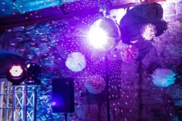 DJ Hannover Falko mit mobile Discokugel Mirrorball Spiegelkugel auf Hochzeit und Event Beispiel Bild Image